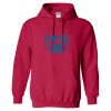 Heavy Blend™ Hooded Sweatshirt Thumbnail